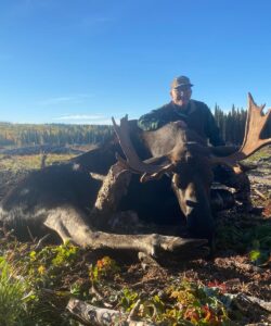 Moose Pic #001 - Wild Alberta High Country Outfitters