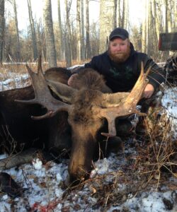 Moose Pic #011 - Wild Alberta High Country Outfitters