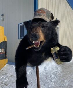 Wild Alberta Hunts Spring Bear Picture